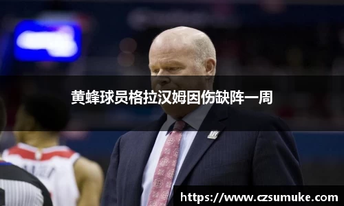 黄蜂球员格拉汉姆因伤缺阵一周